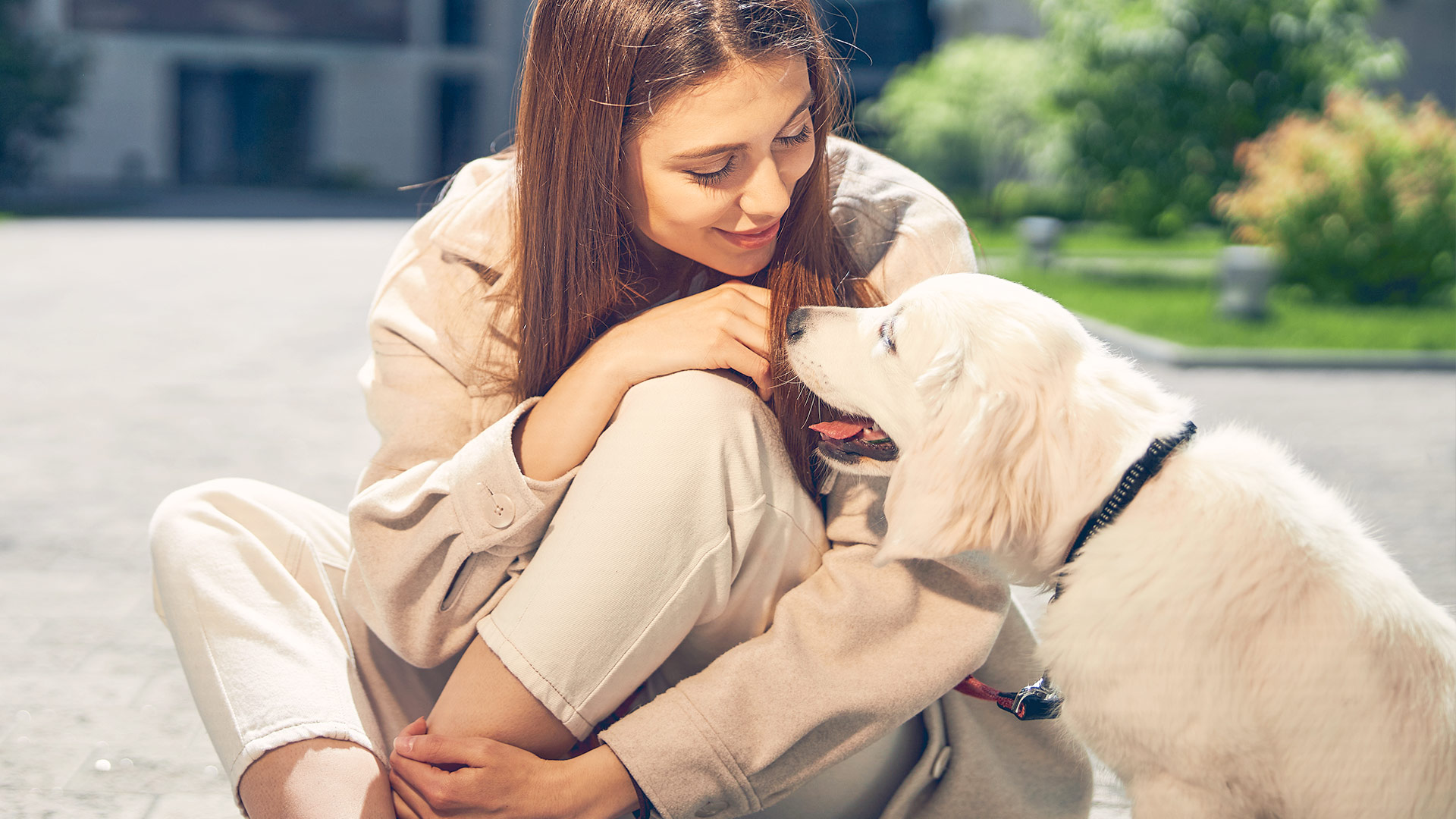 Expert Veterinary Advice: 10 Tips for Keeping Your Pet’s Coat Shiny and Healthy.