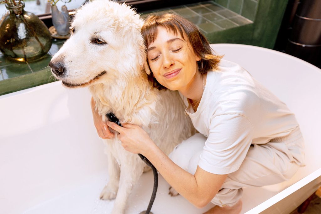 The Ultimate Guide to DIY Pet Grooming at Home