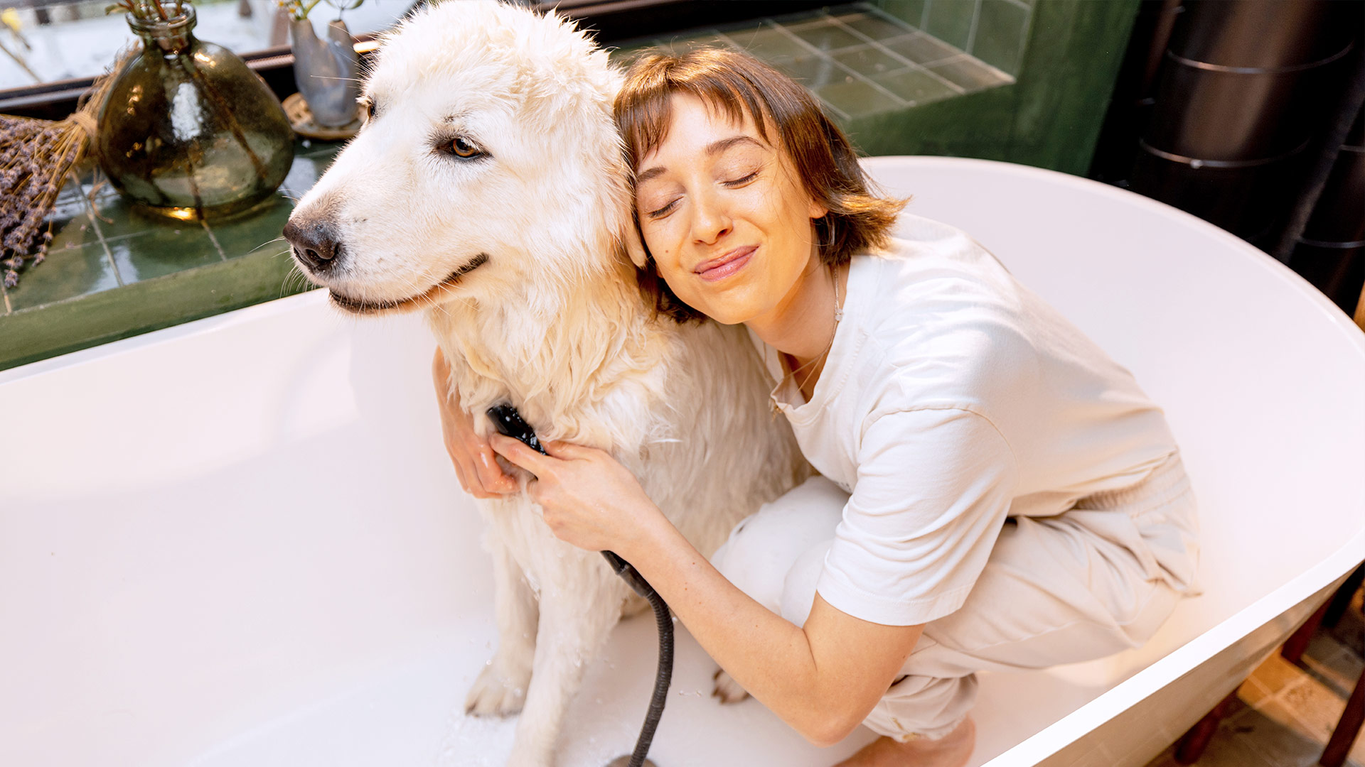 The Ultimate Guide to DIY Pet Grooming at Home