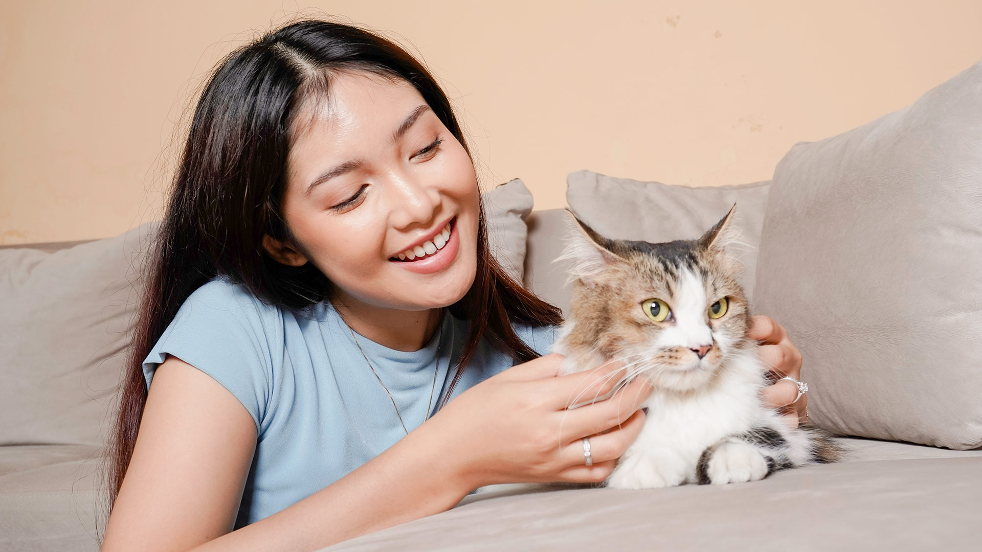 Cat Trivia: Exploring the Fascinating World of Allogrooming in Cats