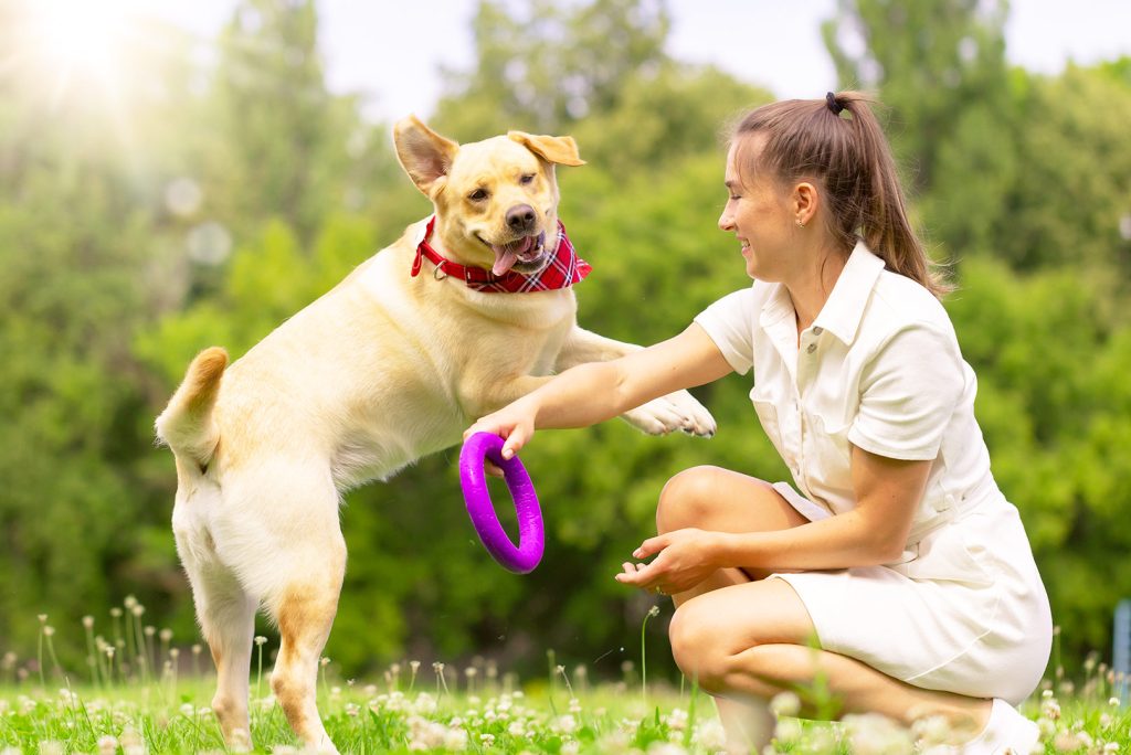 The Power of Positive Reinforcement: Effective Dog Training Methods