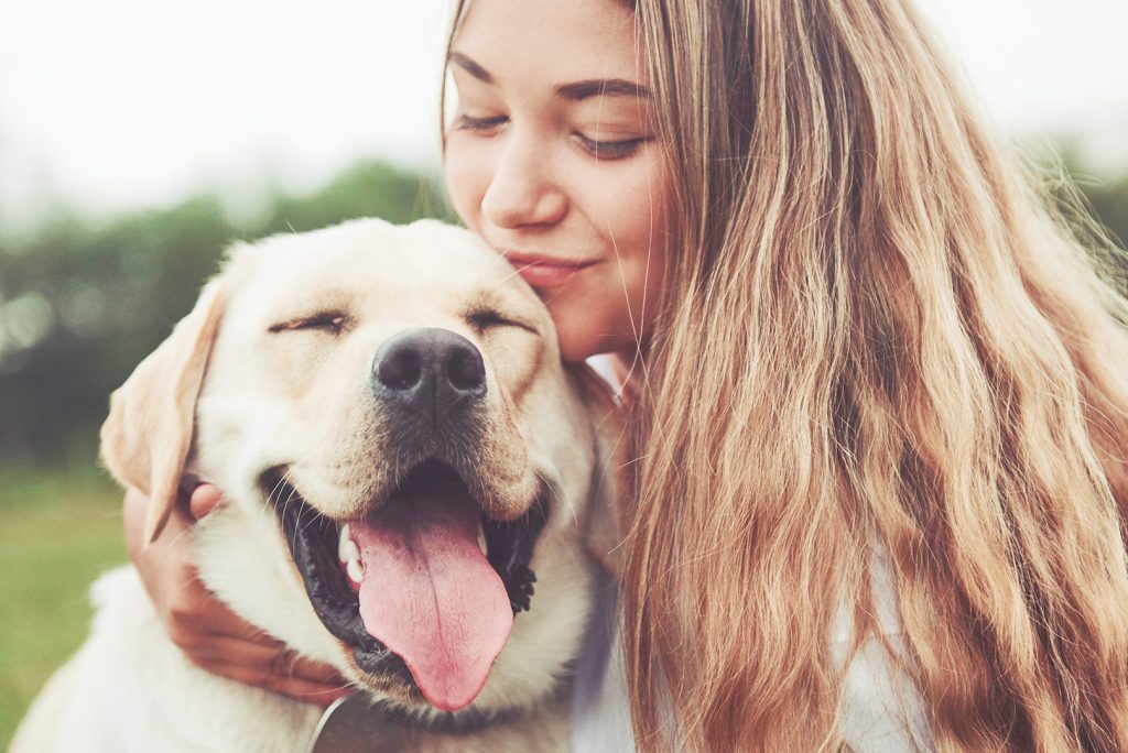 Decoding Dog Barking: Understanding Canine Communication