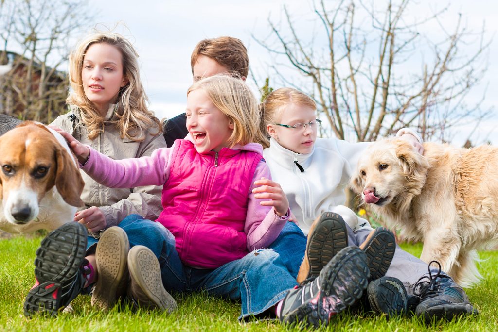 The Importance of Dog Socialization: Building Healthy Relationships and Behaviors