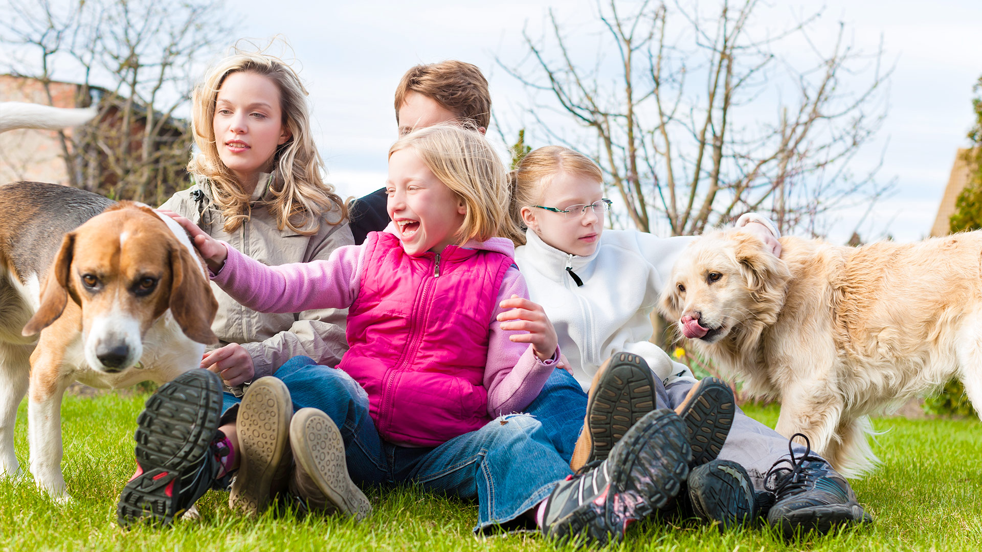The Importance of Dog Socialization: Building Healthy Relationships and Behaviors