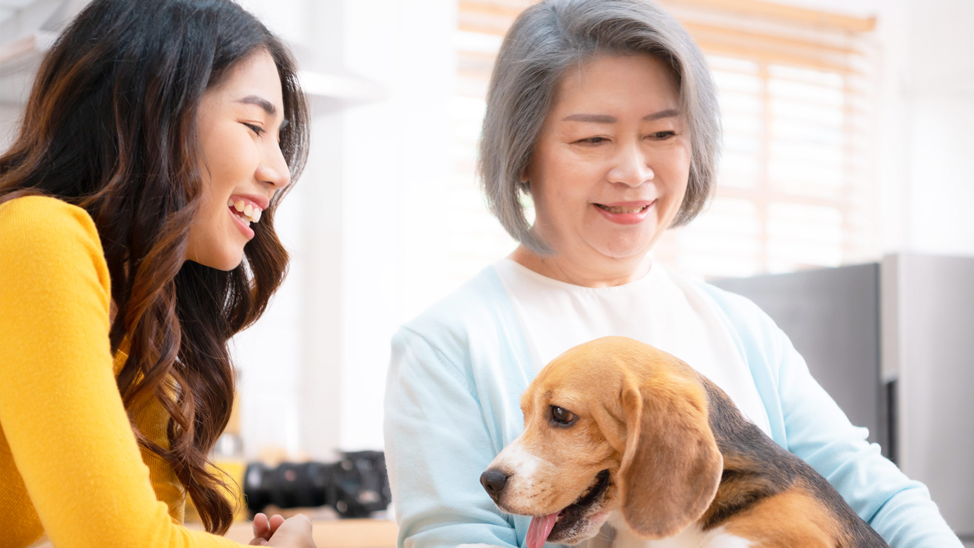 The Power of Dog Loyalty: Understanding the Bond Between Dogs and Their Owners