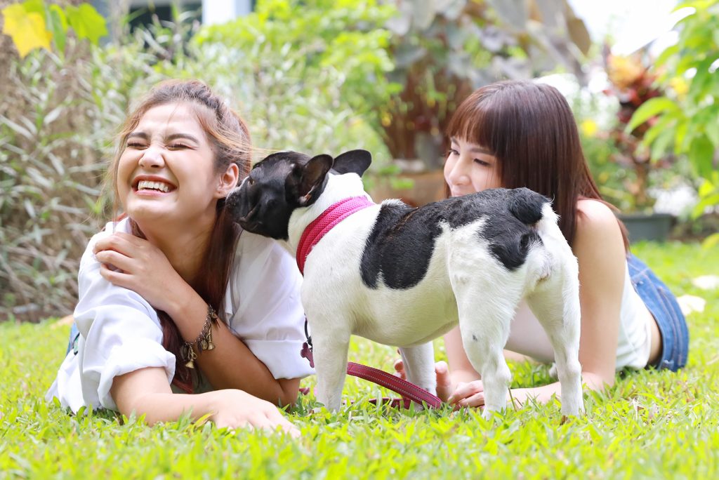 10 Surprising Benefits of Owning a Pet