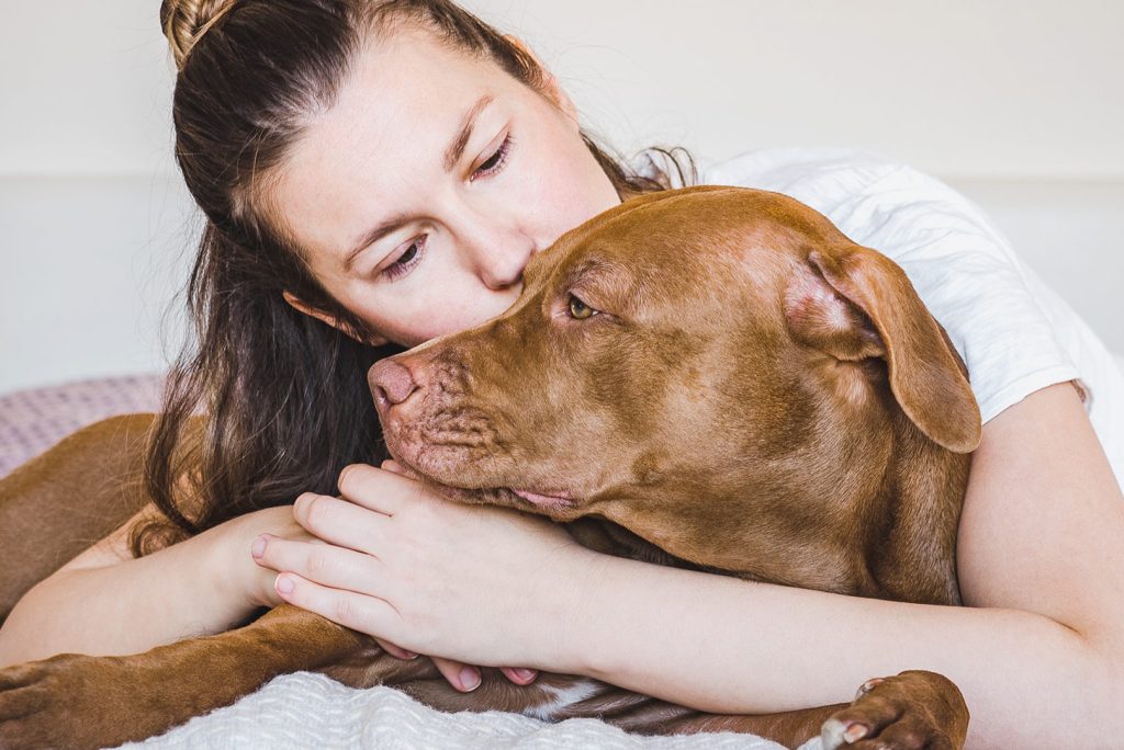 The Science of Pet Grooming: How It Impacts Your Pet’s Physical and Mental Health!